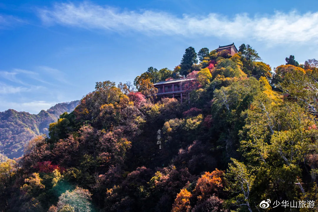 赏红叶，赢大奖！少华山第十二届红叶节惊喜不断，福利多多！(图6)