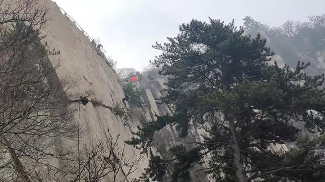 【华山西峰索道】太华索道公司组织干部职工开展学雷锋志愿服务活动(图8)